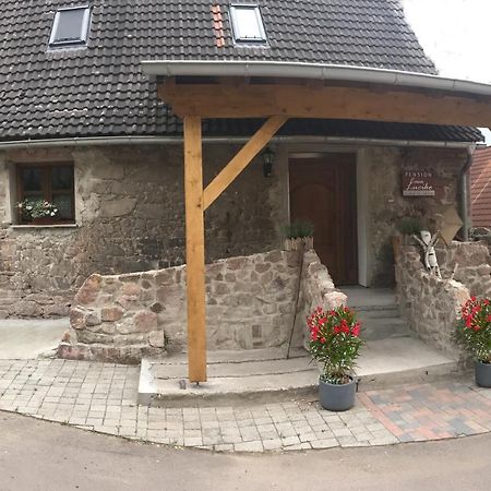 Pension Casa Luciko Brachwitz 외부 사진